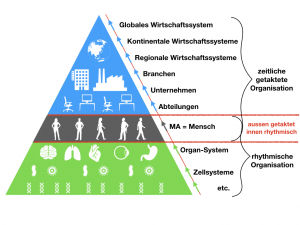 Der Mitarbeiter zwischen Takt und Rhythmus