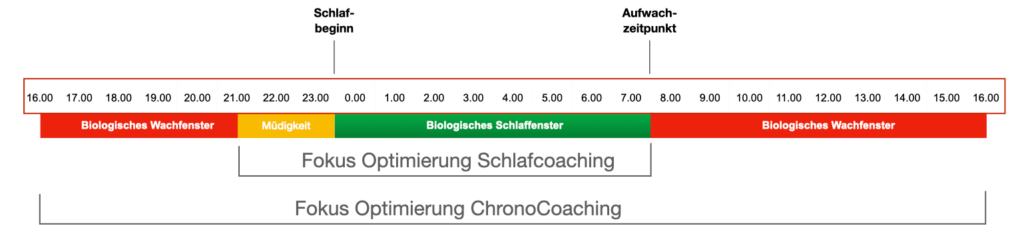 Grafik Fokus Chronocoaching und Schlafcoaching