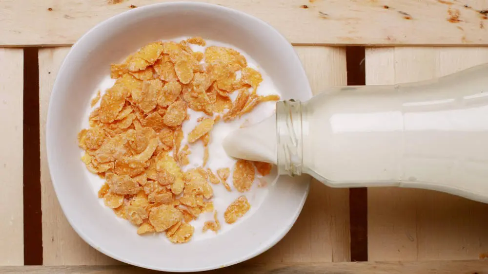 Frühstück Cornflakes und Milch