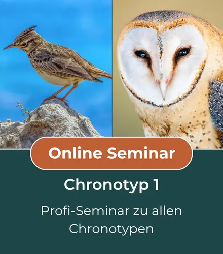 Online Seminar Chronotyp 1